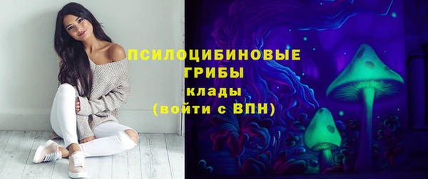 гашик Верхний Тагил