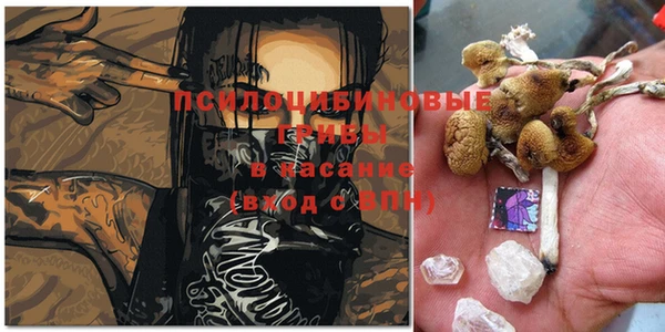 спайс Верея