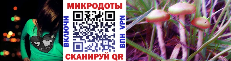 Псилоцибиновые грибы прущие грибы  Купить закладки  Буйнакск 